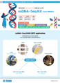 Takara NGS_single-stranded DNA NGS library  